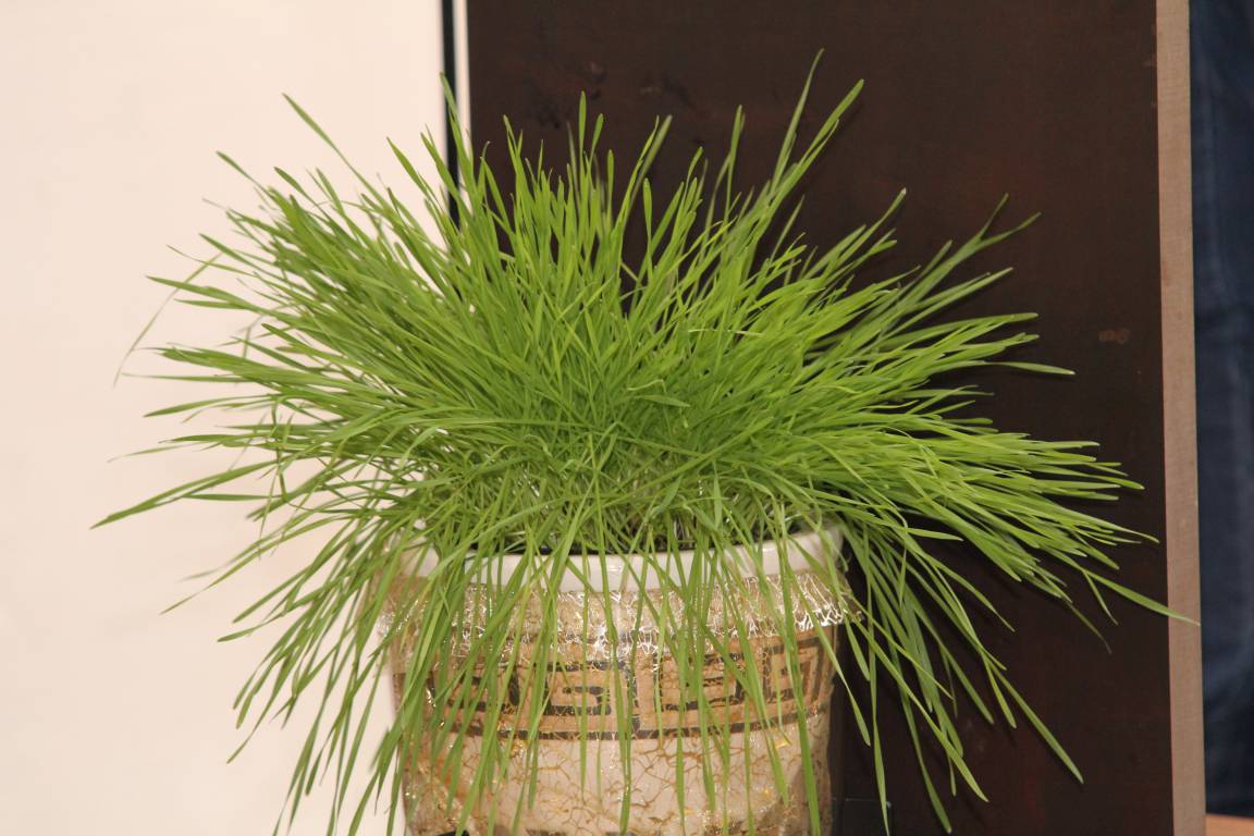 20140323_100037.JPG