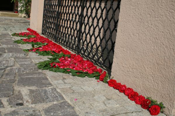 20070607 090142.jpg