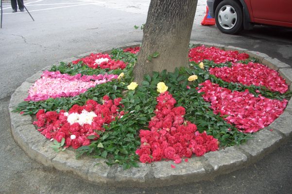 20070607 065710.jpg