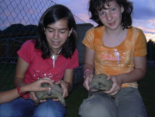 20070712 220254j.jpg