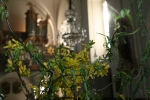 20090412_082432.JPG