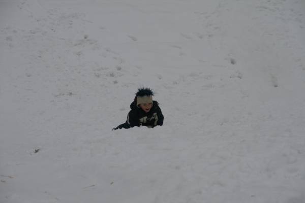 20100130_141954.JPG