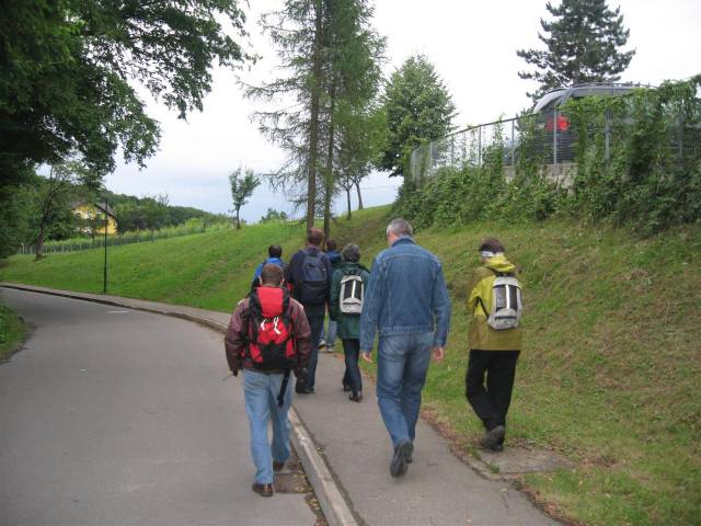 IMG_3790 (Custom).jpg