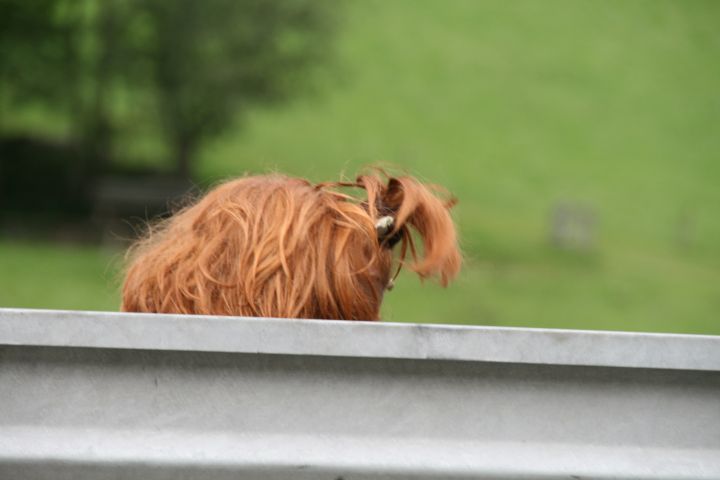 20100723_104750.JPG