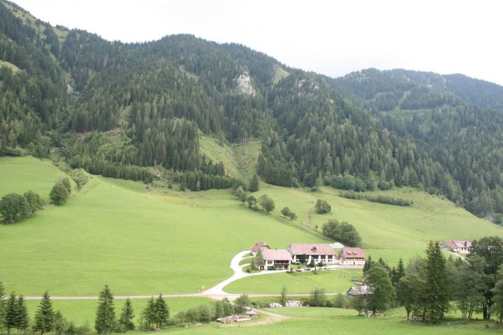 20100723_112227.JPG