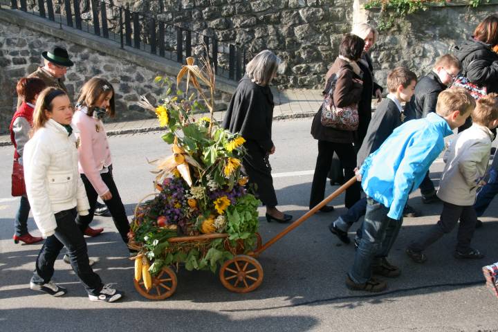 20101010_090728.JPG