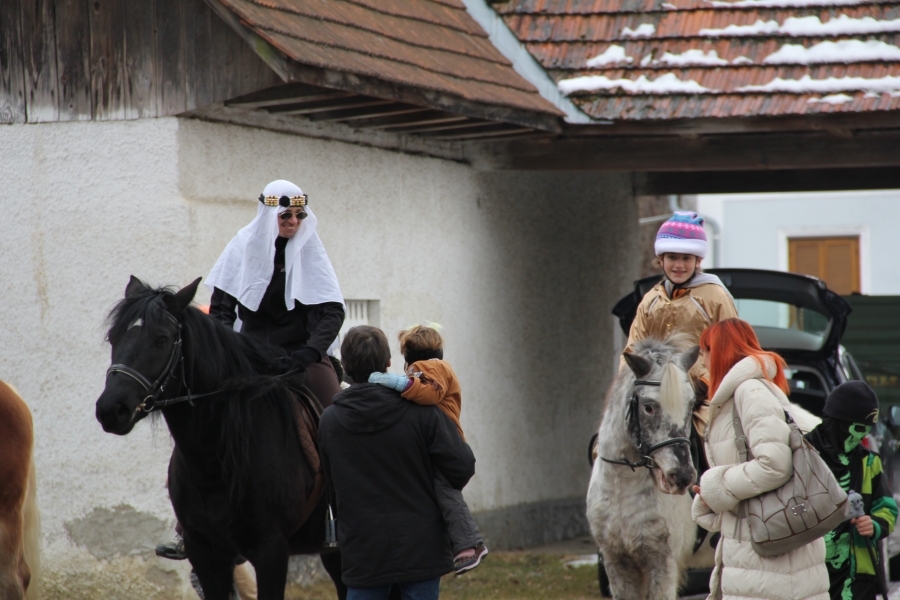 20120219_133737.jpg