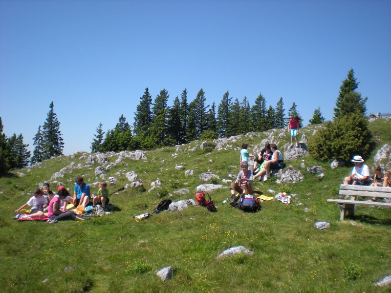 20120617_111116.jpg