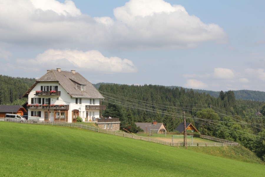 20120808_155136.jpg