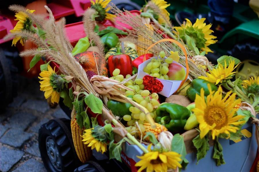 20121014_085804.jpg