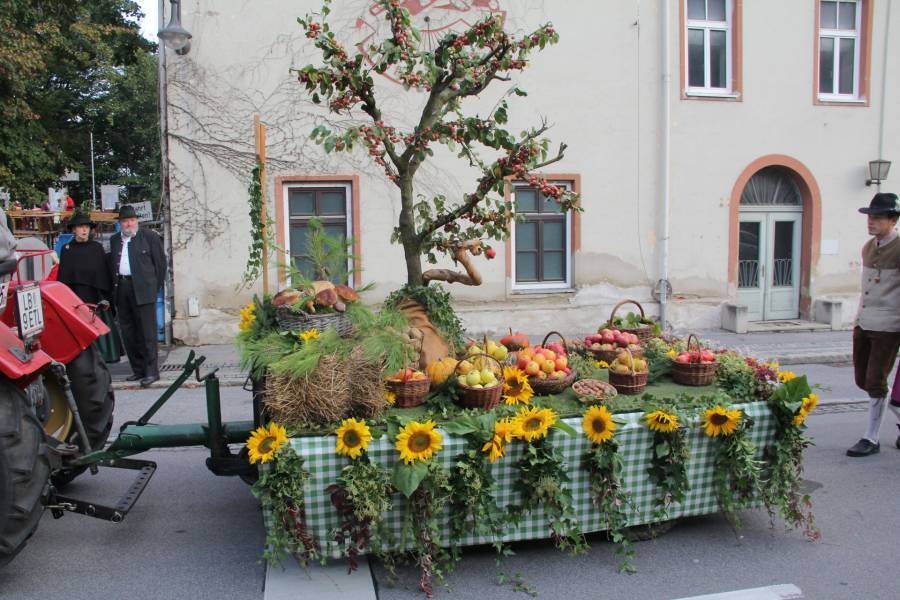 20121014_092158.JPG