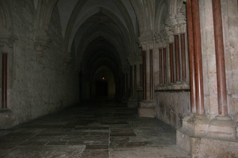 20121026_114550.JPG