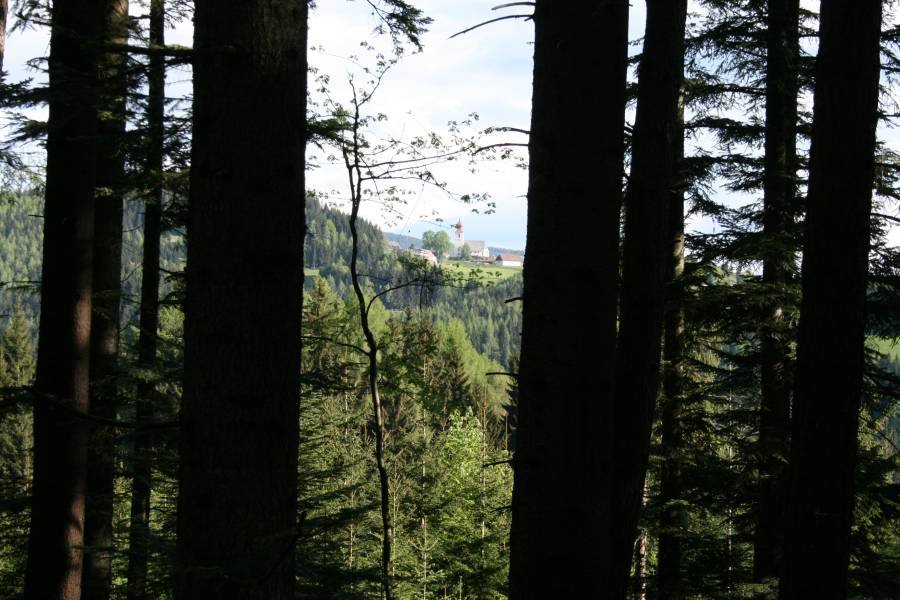 20130520_081019.JPG