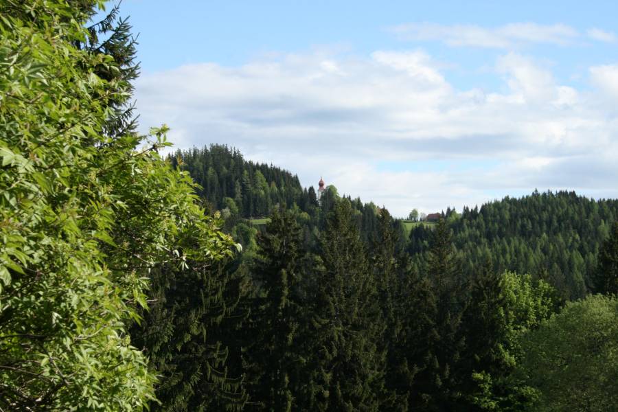 20130520_082015.JPG