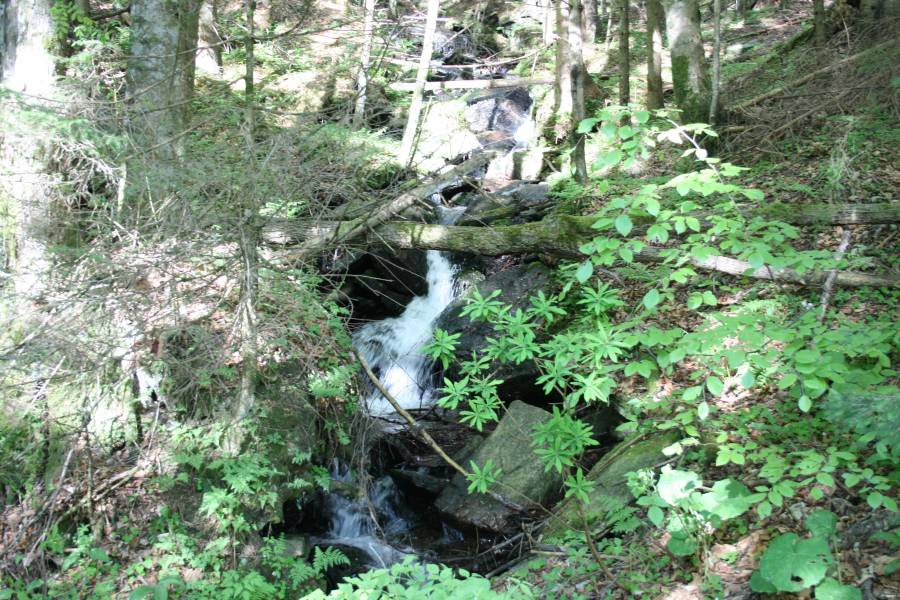 20130520_082447.JPG