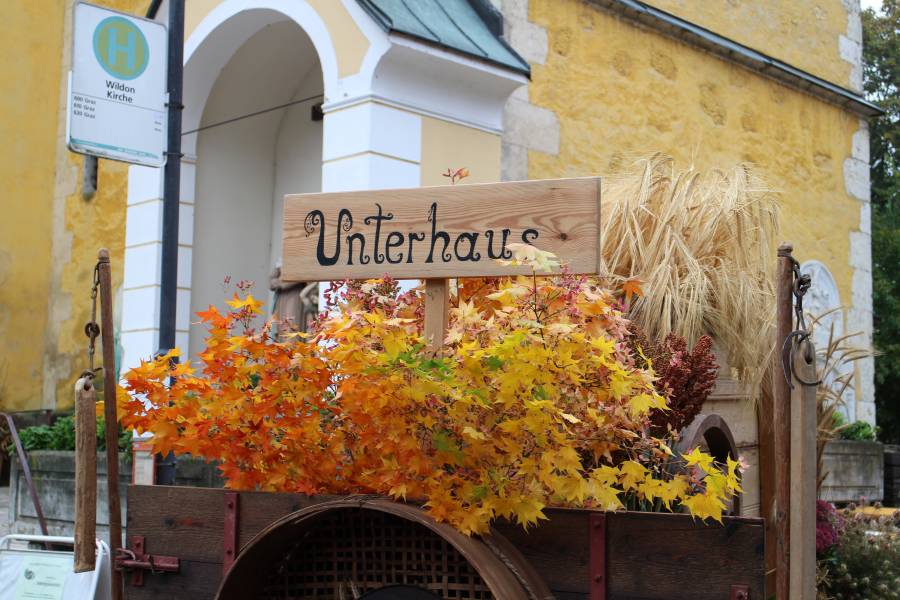 20131013_093928.JPG