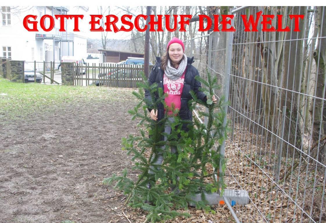 Bild1.jpg