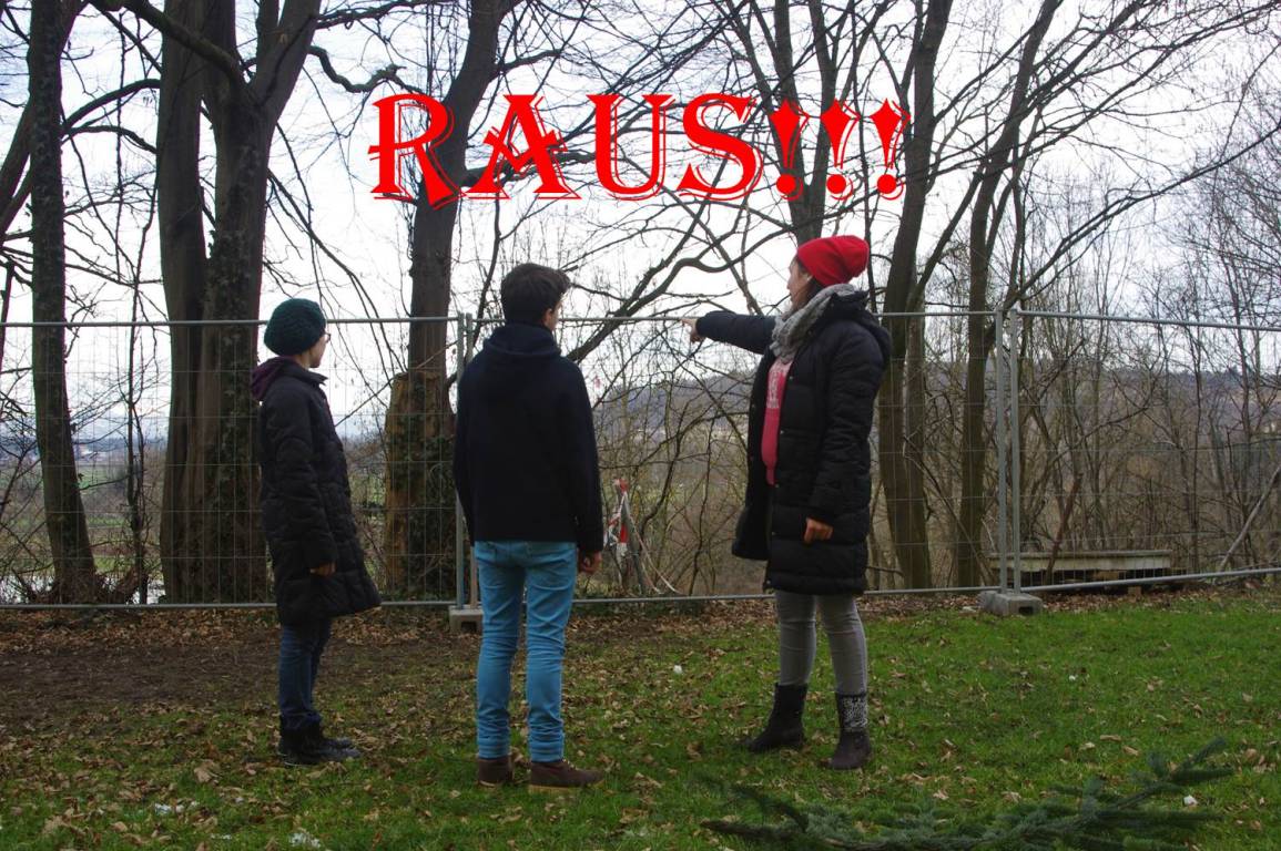 Bild11.jpg