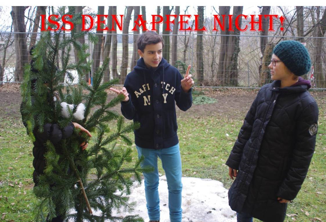 Bild5.jpg