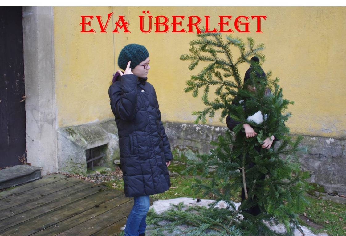 Bild6.jpg