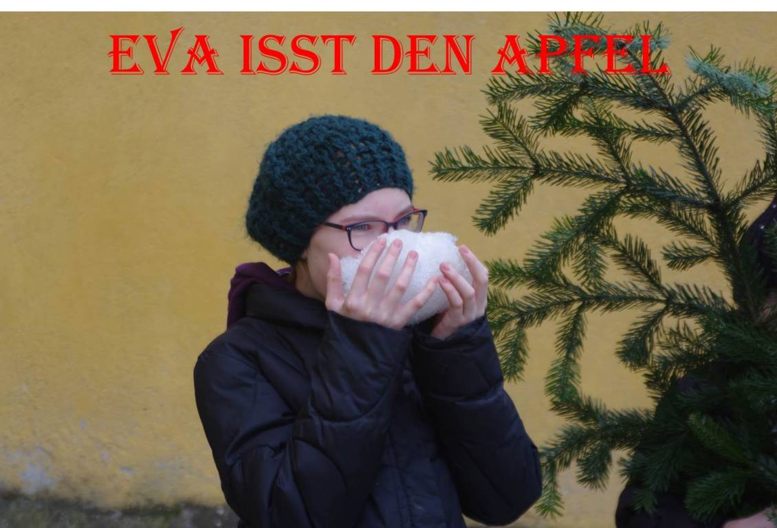 Bild8.jpg