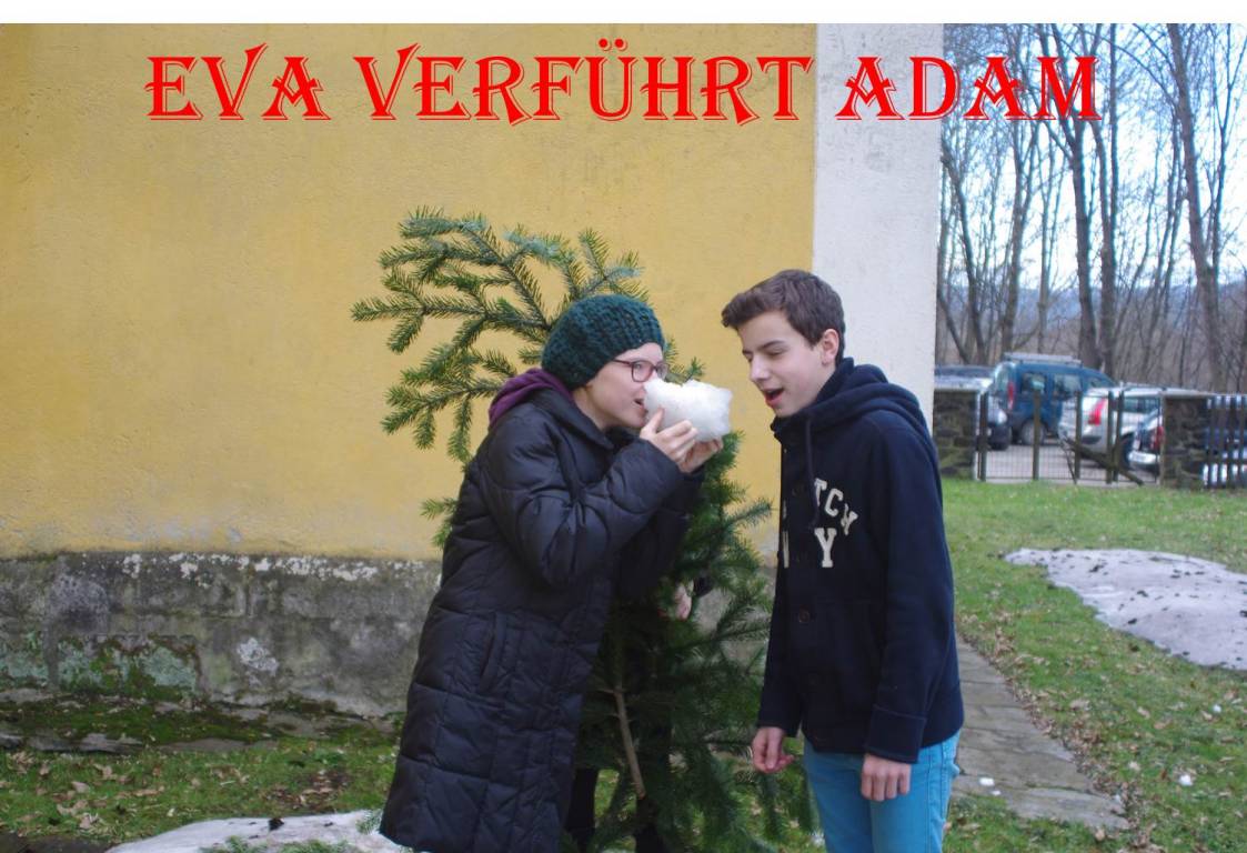 Bild9.jpg