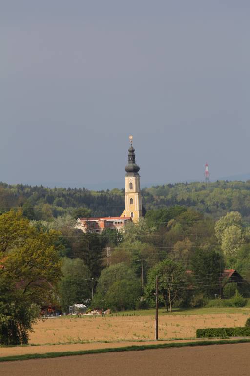 20140419_085355.JPG