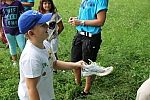 20140803_170738.JPG