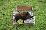 20140805_164759.JPG