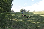 20140808_110349.JPG
