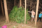 20140808_171229.JPG