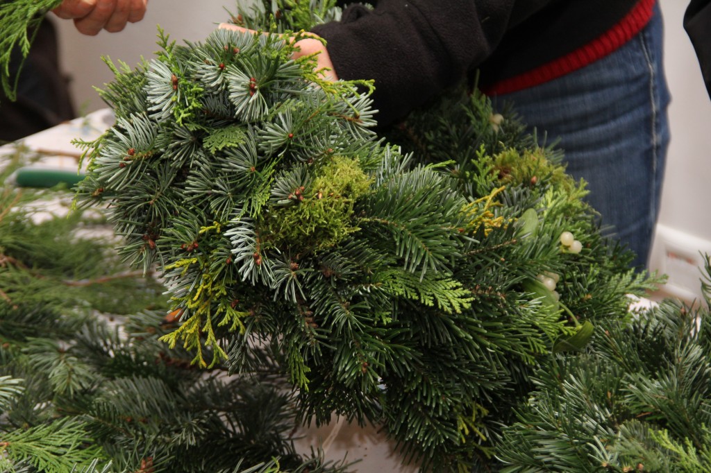20141128_173255.jpg
