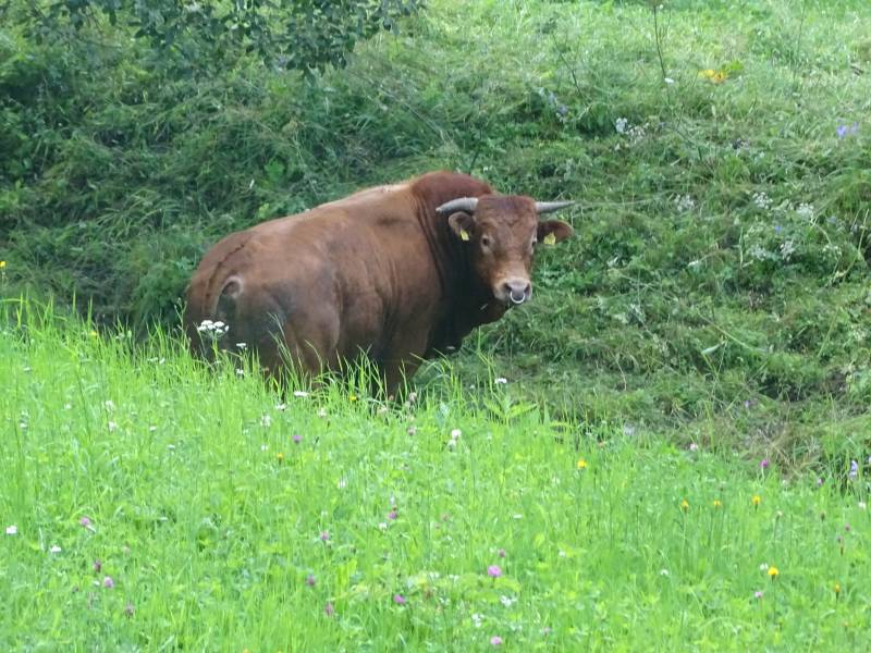 20160804_134425.JPG