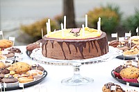 20180415_100519.jpg