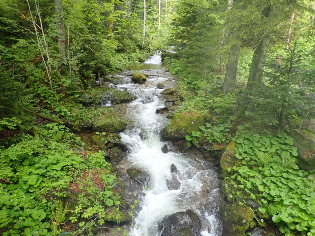 20180521_094048.jpg