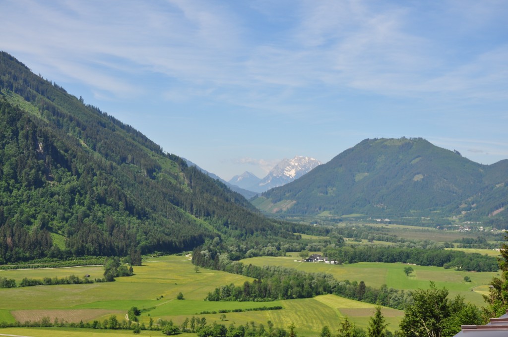 20180526_103138.jpg