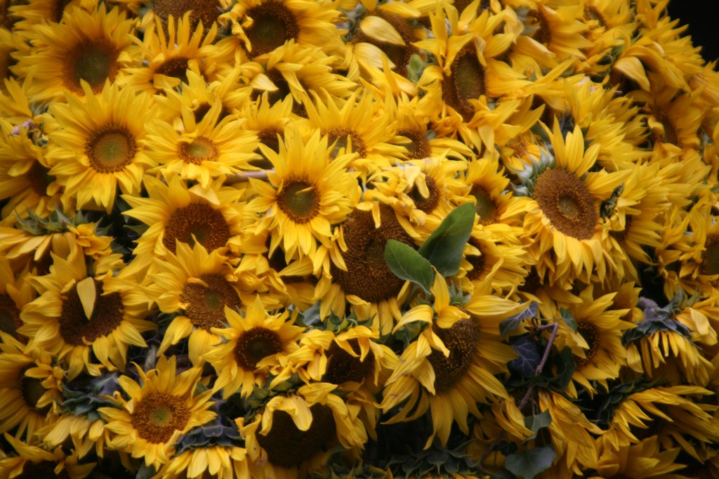 20181007_094532.jpg