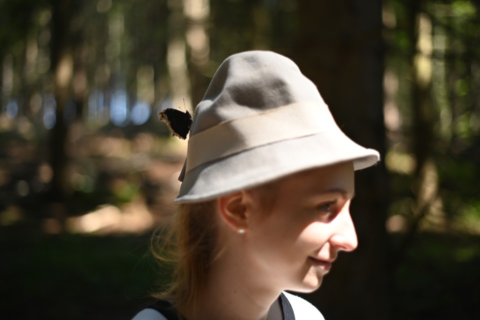 20190805_120122.jpg