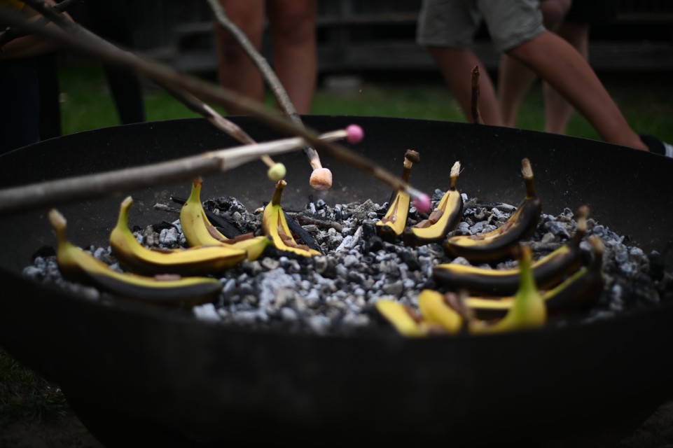 20190806_191854.jpg